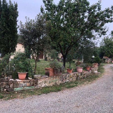 Agriturismo Oria Bianca Villa San Quirico dʼOrcia Kültér fotó