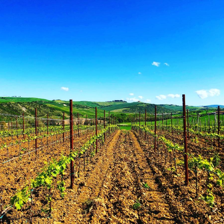 Agriturismo Oria Bianca Villa San Quirico dʼOrcia Kültér fotó