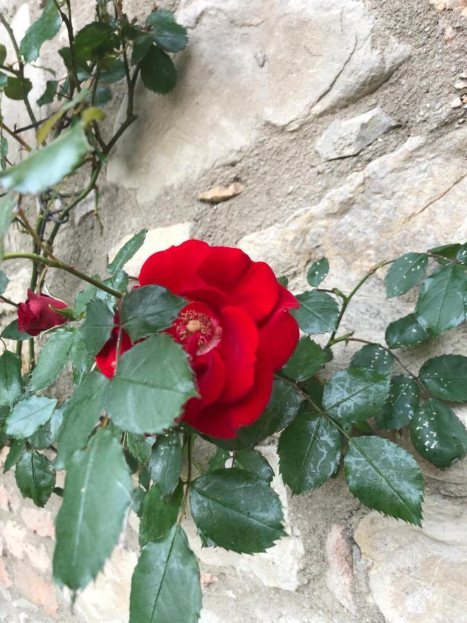 Agriturismo Oria Bianca Villa San Quirico dʼOrcia Kültér fotó